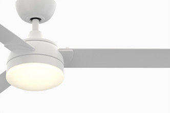 Xeno Wet 56"Ceiling Fan (FP6729BMWW)