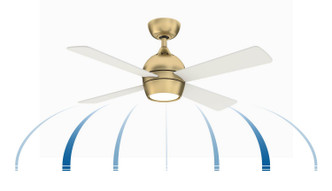 Kwad 44 44"Ceiling Fan (FP7644BS)