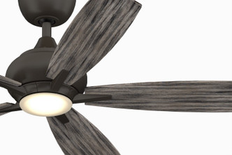 Doren 52"Ceiling Fan (FP8533GR)