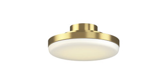 Fanimation - LK8505BS - LED Light Kit - TriAire Custom - Brushed Satin Brass