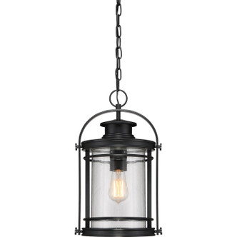 Quoizel - BKR1510K - One Light Mini Pendant - Booker - Mystic Black