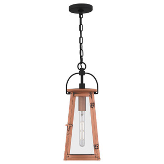 Carolina One Light Mini Pendant (CLN1507AC)