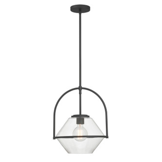 Coralyn One Light Pendant (11895-899)