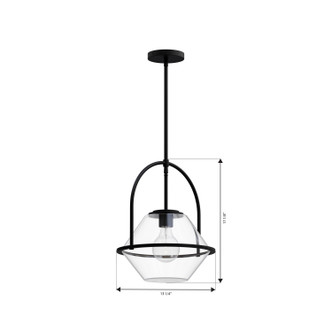 Coralyn One Light Pendant (11895-899)