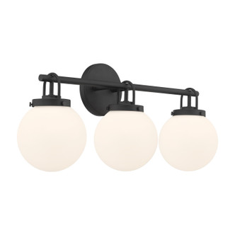 Ortesa Three Light Vanity (12013-899)