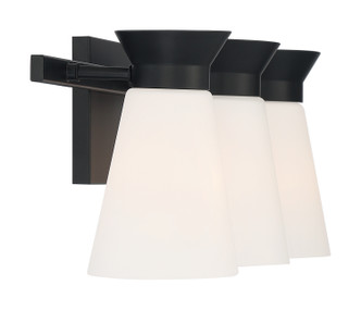 Caleta Three Light Vanity (60-7313)