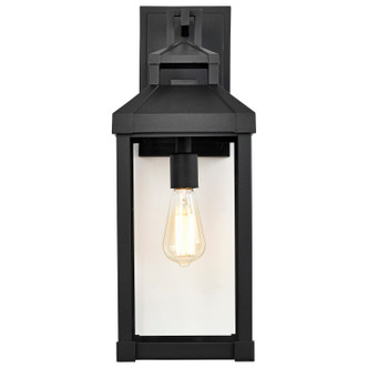 Corning One Light Wall Lantern (60-7372)