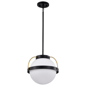 Nuvo Lighting - 60-7775 - One Light Pendant - Lakeshore - Matte Black