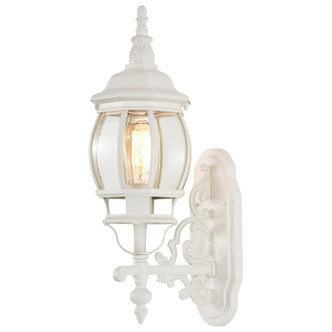 Central Park One Light Outdoor Wall Lantern (60-885)