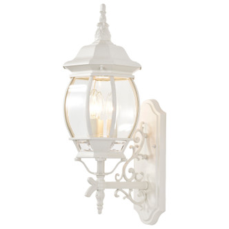 Central Park Three Light Outdoor Wall Lantern (60-888)