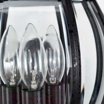 Central Park Three Light Outdoor Wall Lantern (60-890)
