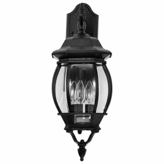 Central Park Three Light Outdoor Wall Lantern (60-893)