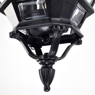 Central Park Three Light Hangng Lantern (60-896)