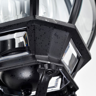 Central Park Three Light Hangng Lantern (60-896)