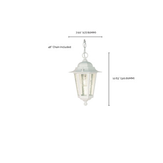 Cornerstone One Light Hanging Lantern (60-991)