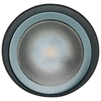 LED Flood Light (62-1199)