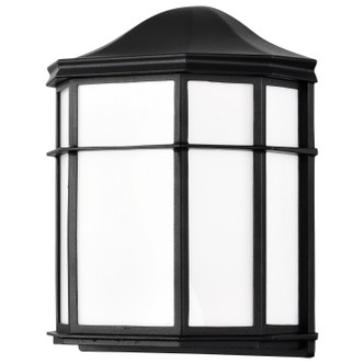 LED Cage Lantern Fixture (62-1397)