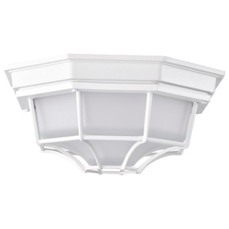 LED Spider Cage Fixture (62-1399)