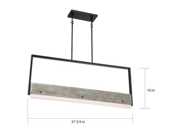 Alta LED Island Pendant (62-1553)