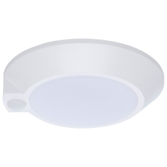 LED Disk Light (62-1820R1)