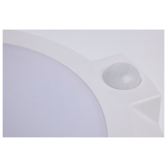 LED Disk Light (62-1821R1)