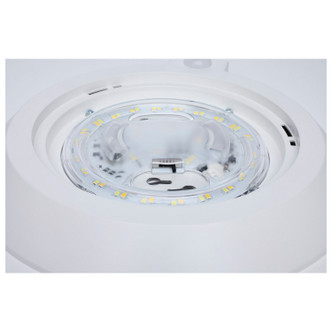 LED Disk Light (62-1821R1)
