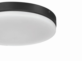 Mondo 72 Light Kit Indoor/Outdoor LED Light Kit (MNDLK-FB-LED)