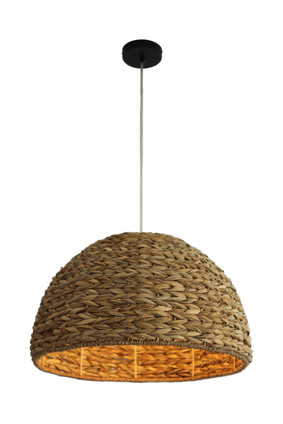 Pendant One Light Pendant (P2005-NT)