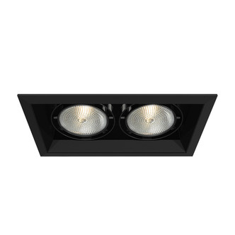 Eurofase - TE132-01 - MULTPAR30TRM2LT75WBL/BLK - PAR30MULTI-GEN - Black