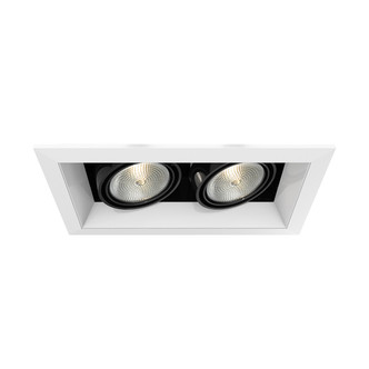 Eurofase - TE162-02 - MULTPAR20TRM2LT50WWH/BLK - PAR20MULTI-GEN - White