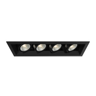Eurofase - TE164A-01 - MULTPAR20TRM4LT50WBL/BLK - PAR20MULTI-GEN - Black