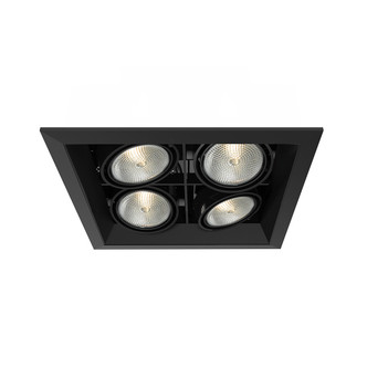 Eurofase - TE164B-01 - MULTPAR20TRM4LTSQBLK/BLK - PAR20MULTI-GEN - Black
