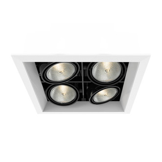 Eurofase - TE164B-02 - MULTPAR20TRM4LTSQWHT/BLK - PAR20MULTI-GEN - White