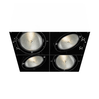 Eurofase - TE224B-01 - MULTPAR30TRIMLSS4LT75WBLK - PAR30MULTI-GEN - Black
