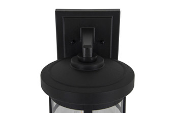 Resilience Lanterns One Light Outdoor Lantern (ZA2314-TB-C)