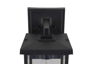 Resilience Lanterns One Light Outdoor Lantern (ZA2414-TB-C)