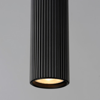 Reeds LED Pendant (E11012-BK)