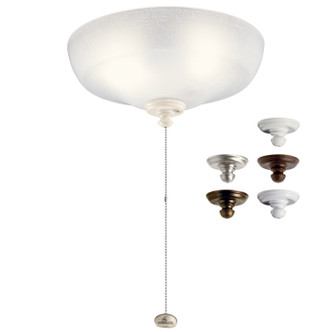Accessory LED Fan Light Kit (380012MUL)