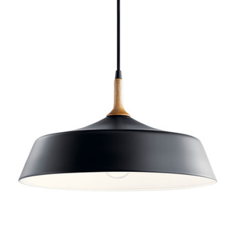 Danika One Light Pendant (43683BK)