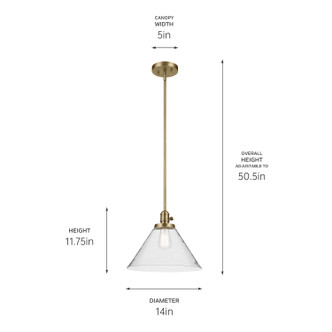Avery One Light Pendant (43905NBR)