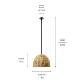 Raffiana One Light Mini Pendant (44399BK)
