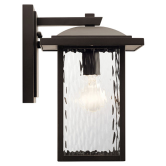 Capanna One Light Outdoor Wall Mount (49925OZ)