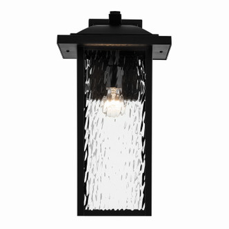 Capanna One Light Outdoor Wall Mount (49928BKT)