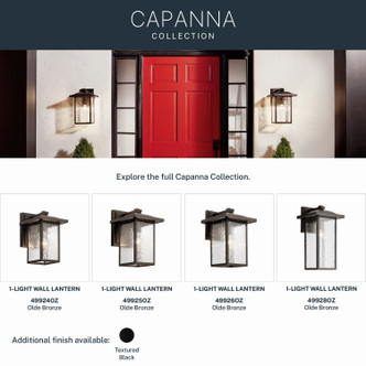 Capanna One Light Outdoor Wall Mount (49928OZ)