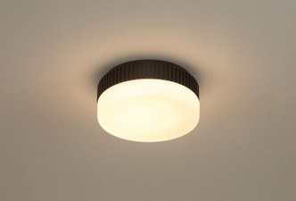 Purgos LED Flush Mount (49913-029)