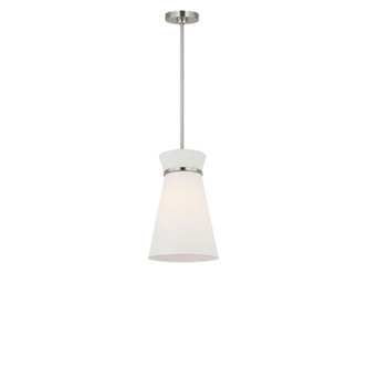 manufacturer_finish:Brushed Nickel|color_temperature:Unspecified|cri:Unspecified