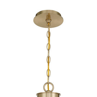 Florena Ten Light Chandelier (1-5083-10-127)