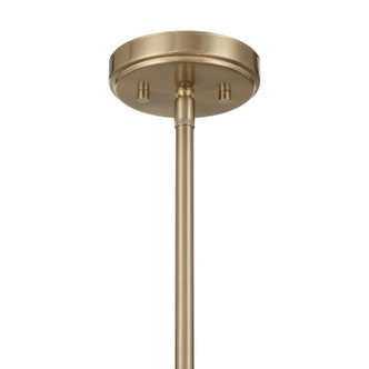 Ashton Four Light Convertible (6-9801-4-127)