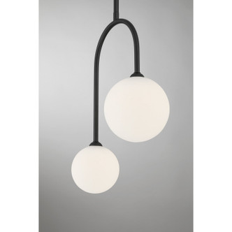 Chester Two Light Pendant (7-5981-2-89)