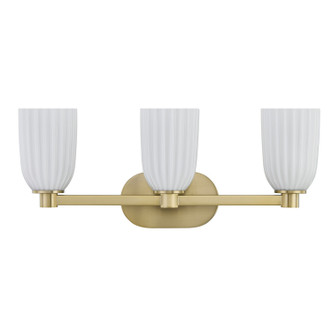 Baldwin Three Light Bathroom Vanity (8-1245-3-127)